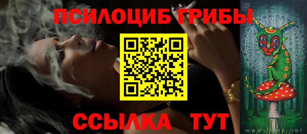 Галлюциногенные грибы Psilocybine cubensis  Галлюциногенные грибы прущие грибы  Вход с VPN  Зеленокумск 
