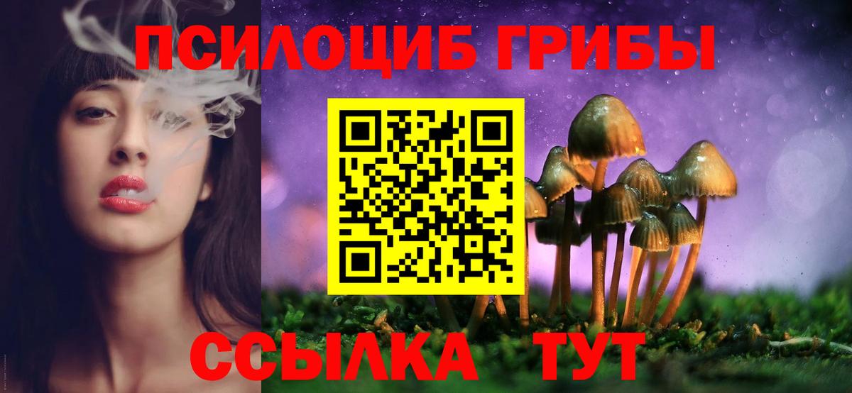 Галлюциногенные грибы GOLDEN TEACHER Зеленокумск